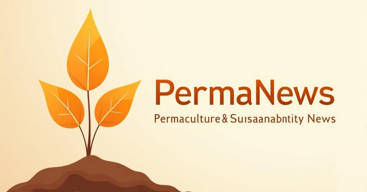 Redemption Permaculture: Modern Homesteading Podcast Insights